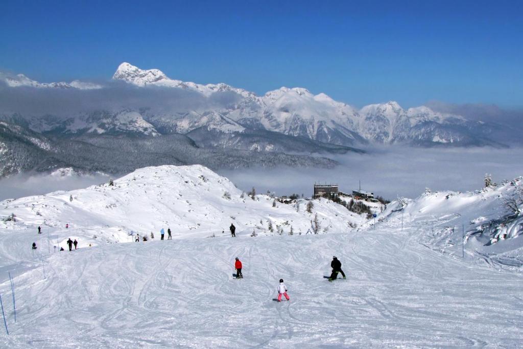 อพาร์ตเมนต์ เฮาส์ ยาเกอร์ Apartment Bohinj ภายนอก รูปภาพ